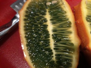 Horned Melon Close Up