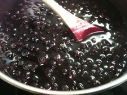 250-blueberry sauce