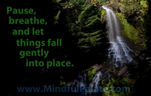 8930_Falls Creek Pause WM