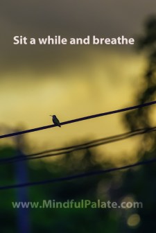 Bird On a Wire WM 500