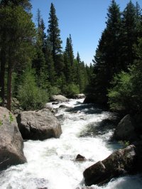 Rapids